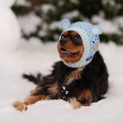 Frisco Nordic Ears Sweater Knit Dog & Cat Hat -Hot Sale Pet Supplies 745710 PT5. AC SS1800 V1695671059