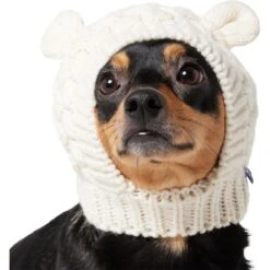 Frisco Polar Bear Sweater Knit Dog & Cat Hat -Hot Sale Pet Supplies 745742 PT2. AC SS1800 V1694793756
