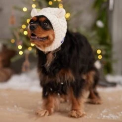Frisco Polar Bear Sweater Knit Dog & Cat Hat -Hot Sale Pet Supplies 745742 PT5. AC SS1800 V1694801900