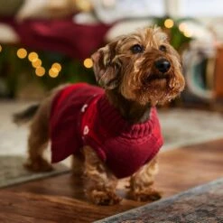 Frisco Nordic Sequin Dog & Cat Sweater Dress -Hot Sale Pet Supplies 745886 PT7. AC SS1800 V1694793874