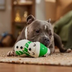 Frisco Holiday Snowman Latex Squeaky Dog Toy 9 Frisco Holiday Snowman Latex Squeaky Dog Toy -Hot Sale Pet Supplies 773870 PT3. AC SS1800 V1695044328