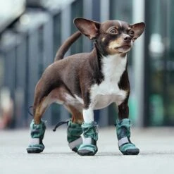 Canada Pooch Soft Shield Dog Boots -Hot Sale Pet Supplies 803006 PT4. AC SS1800 V1682088022