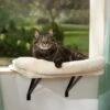 Frisco Plush Cat Window Perch With Removeable Bolster -Hot Sale Pet Supplies 804630 MAIN. AC SS1800 V1695933061