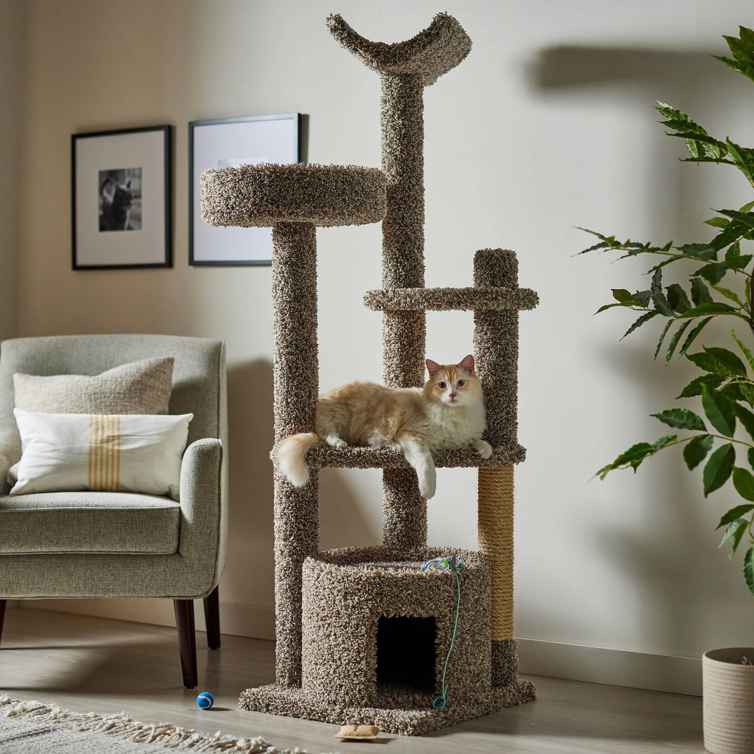 Frisco 64-in Real Carpet Wooden Cat Tree And Condo 2 Frisco 64-in Real Carpet Wooden Cat Tree And Condo