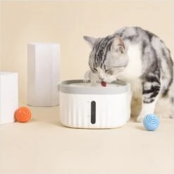 Hanamya Water Fountain Replacement Dog & Cat Filters, 4 Count -Hot Sale Pet Supplies 954158 PT3. AC SS1800 V1694466046