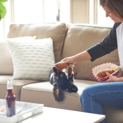 Frisco Corndog Interactive Plush Squeaky Dog Toy & Frisco Guacamole Hide & Seek Puzzle Plush Squeaky Dog Toy 14 Frisco Corndog Interactive Plush Squeaky Dog Toy & Frisco Guacamole Hide & Seek Puzzle Plush Squeaky Dog Toy -Hot Sale Pet Supplies 962086 PT3. AC SS1800 V1694782979