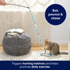 Frisco Fabric Teaser Wand Cat Toy & Frisco Bird With Feathers Teaser Wand Cat Toy With Catnip 14 Frisco Fabric Teaser Wand Cat Toy & Frisco Bird With Feathers Teaser Wand Cat Toy With Catnip -Hot Sale Pet Supplies 962094 PT3. AC SS1800 V1694782977