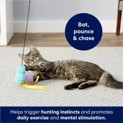 Frisco Fabric Teaser Wand Cat Toy & Frisco Bird With Feathers Teaser Wand Cat Toy With Catnip 19 Frisco Fabric Teaser Wand Cat Toy & Frisco Bird With Feathers Teaser Wand Cat Toy With Catnip -Hot Sale Pet Supplies 962094 PT8. AC SS1800 V1694782976