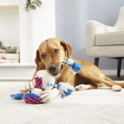 Frisco Holiday Snowman Plush With Rope Squeaky Dog Toy & Frisco Holiday Reindeer Plush With Rope Squeaky Dog Toy 15 Frisco Holiday Snowman Plush With Rope Squeaky Dog Toy & Frisco Holiday Reindeer Plush With Rope Squeaky Dog Toy -Hot Sale Pet Supplies 986174 PT4. AC SS1800 V1698258345