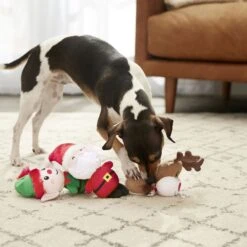 Frisco Holiday Santa's Helpers Plush Squeaky Dog Toy, 3 Count & Frisco Holiday Lights Plush With Rope Squeaky Dog Toy -Hot Sale Pet Supplies 986206 PT4. AC SS1800 V1698257788