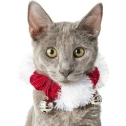 Frisco Holiday Dog & Cat Santa Hat, 1 Count & Frisco Jingle Bells Dog & Cat Holiday Collar With Bells, 1 Count 17 Frisco Holiday Dog & Cat Santa Hat, 1 Count & Frisco Jingle Bells Dog & Cat Holiday Collar With Bells, 1 Count -Hot Sale Pet Supplies 986254 PT6. AC SS1800 V1698258115