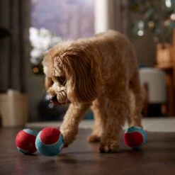 Frisco Holiday Ho Ho Ho Fetch Squeaky Tennis Ball Dog Toy & Frisco Holiday Arctic Friends Stuffing-Free Skinny Plush Squeaky Dog Toy 15 Frisco Holiday Ho Ho Ho Fetch Squeaky Tennis Ball Dog Toy & Frisco Holiday Arctic Friends Stuffing-Free Skinny Plush Squeaky Dog Toy -Hot Sale Pet Supplies 986310 PT4. AC SS1800 V1698257790